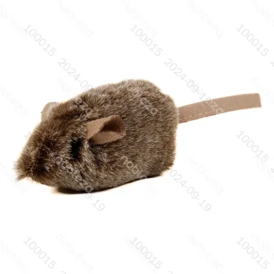 Juguete de ratón con
