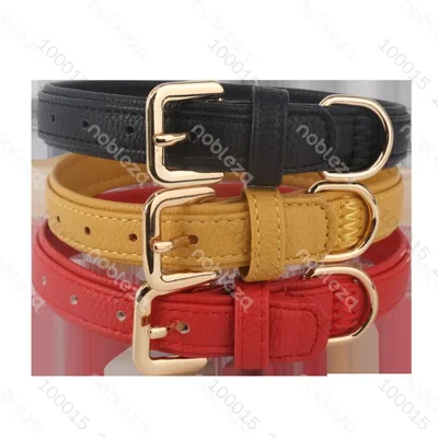 Collar para perro de