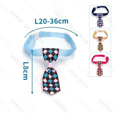 CM W1*L20-36CM Pajari