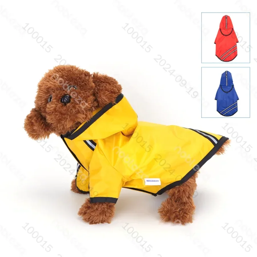 CM Chubasquero con ca