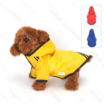 CM Chubasquero con ca