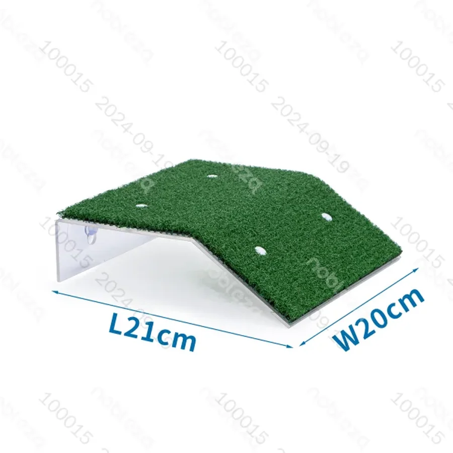 Escaleras para tortug