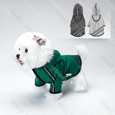 CM Chubasquero inform