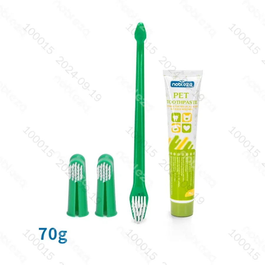 Pasta y cepillo de di