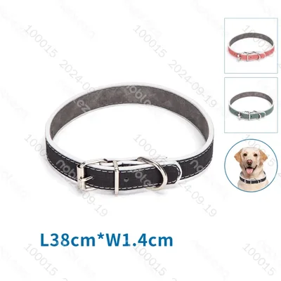 Collar de cuero duro