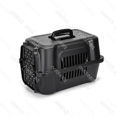 Transportín de avión