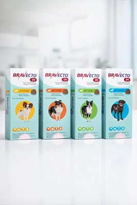 Bravecto 1M 20-40 kg