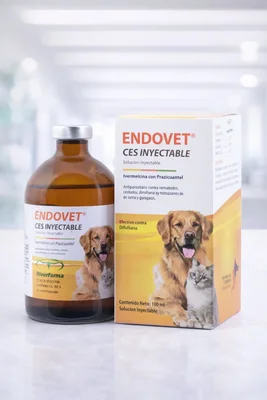 ENDOVET CES