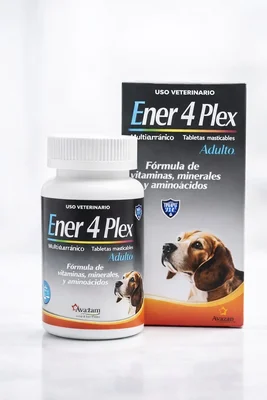 Enerplex 4 adulto