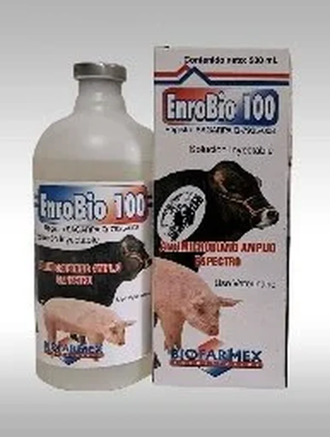 Enrobio