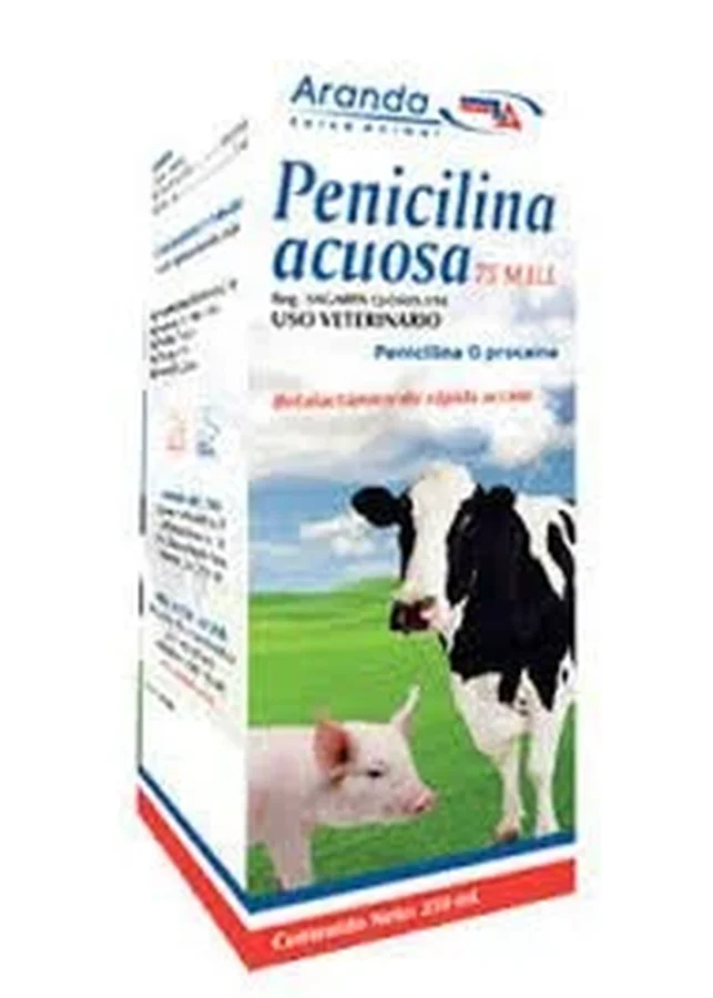 Penicilina acuosa