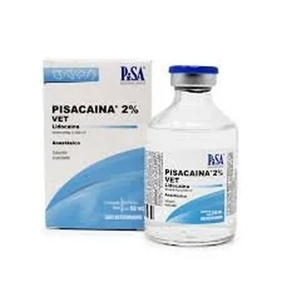 Pisacaina