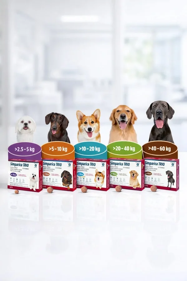 Simparica trío 72MG
