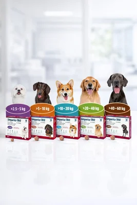 Simparica trío 72MG