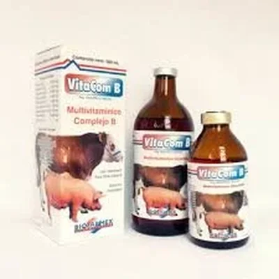 VITACOM B