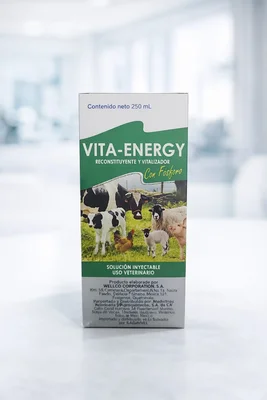 Vita Energy